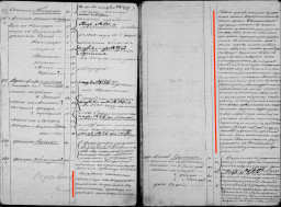 1851 г., с. Воронцовка