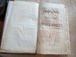 «Новый завет» 1877 года издания