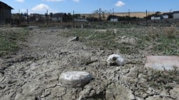 В 2014 в Хильмиллях засуха. Урожая почти нет, а домашняя птица плавает в грязи
