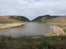 Берег Чухур-Юртского озера